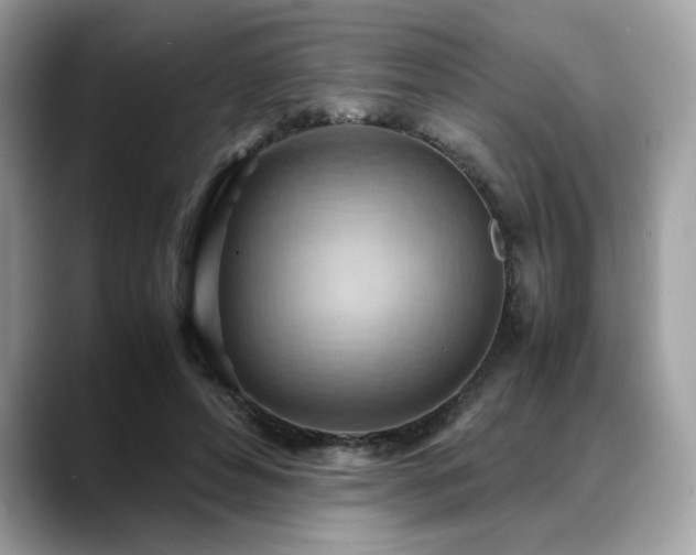 X0000088740496200705311450