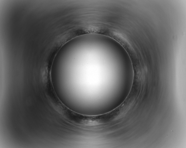 X0000088740498200705311450