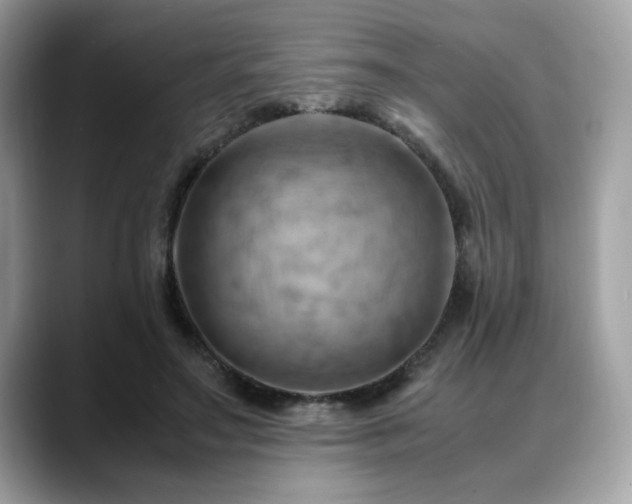 X0000088740499200705311450