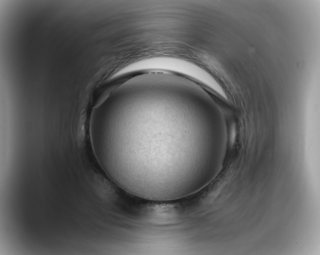 X0000088740501200705311450
