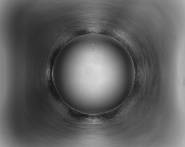 X0000088740502200705311450