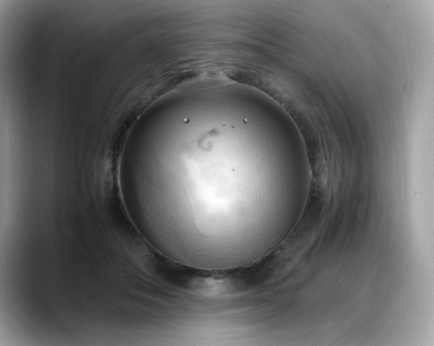 X0000088740506200705311450