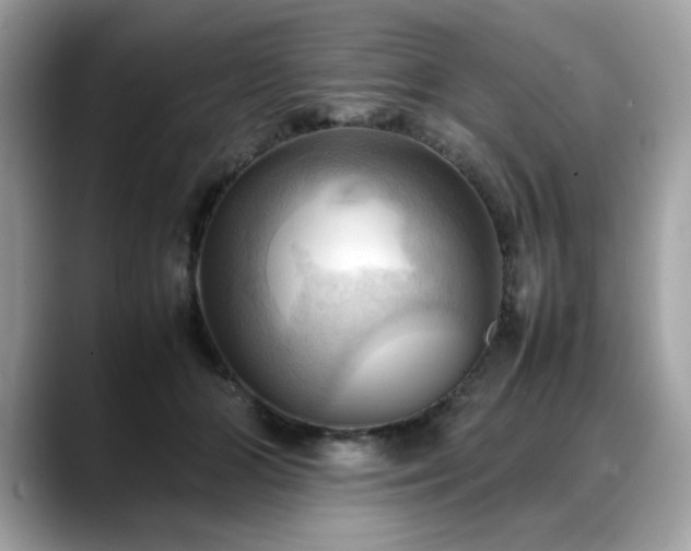 X0000088740510200705311450
