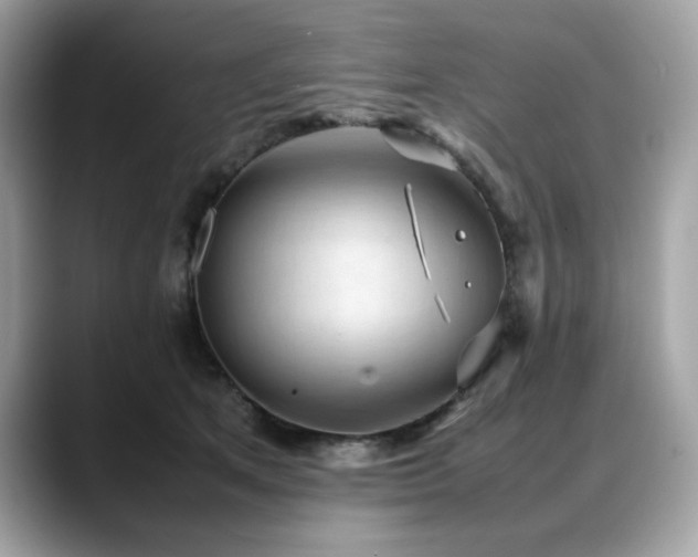 X0000088740513200705311450