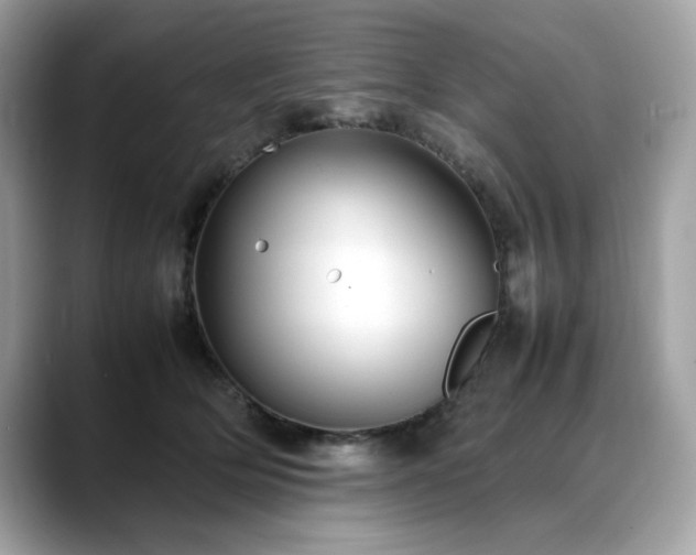 X0000088740514200705311450