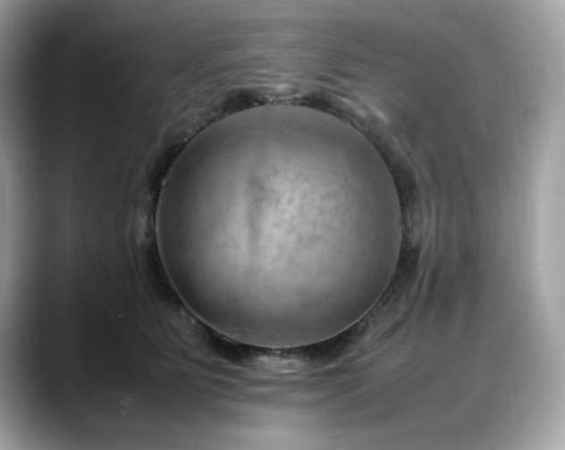 X0000088740515200705311450