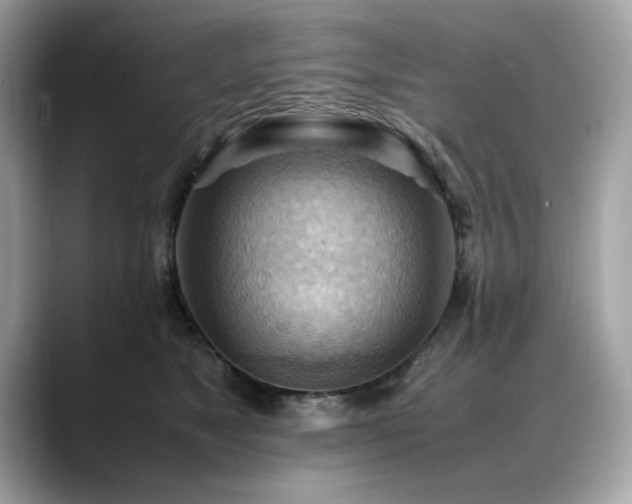 X0000088740517200705311449