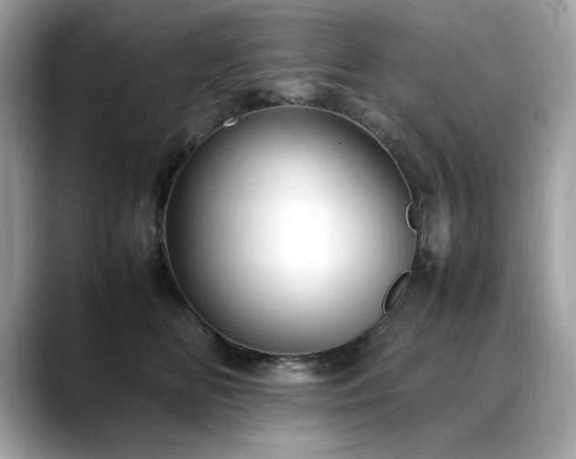 X0000088740518200705311449