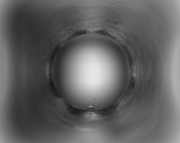 X0000088740519200705311449