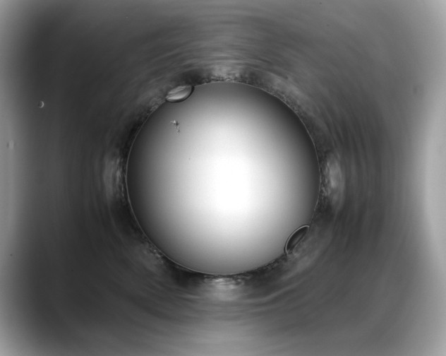 X0000088740522200705311449