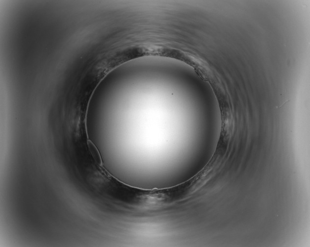 X0000088740525200705311449