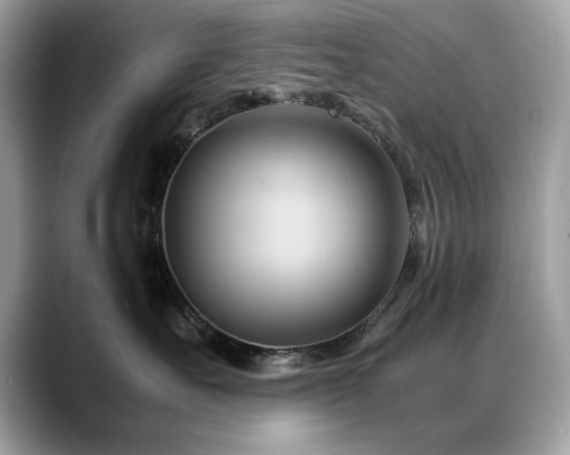 X0000088740527200705311449