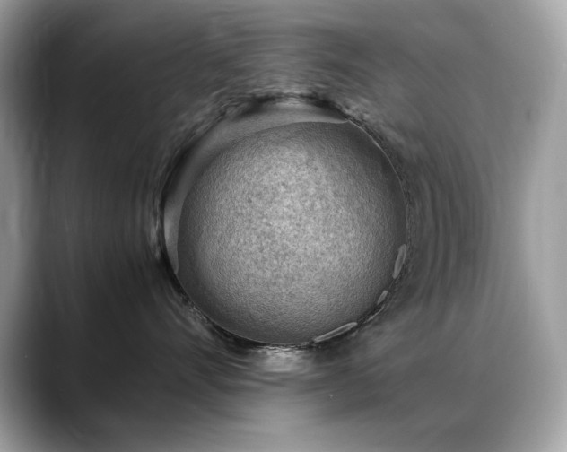 X0000088740528200705311449
