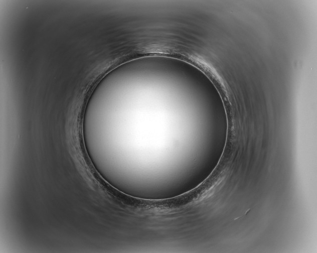 X0000088740529200705311449