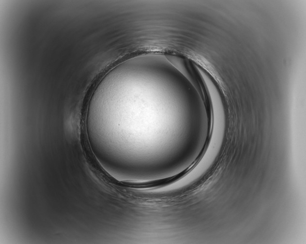 X0000088740530200705311449