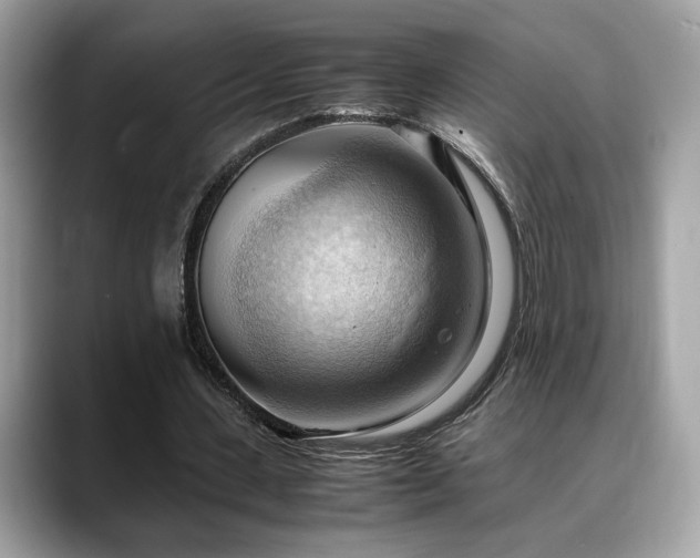 X0000088740531200705311449