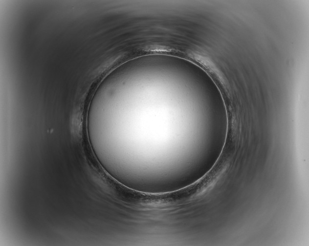 X0000088740533200705311449