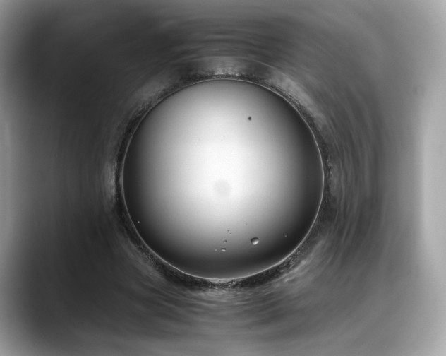 X0000088740537200705311449