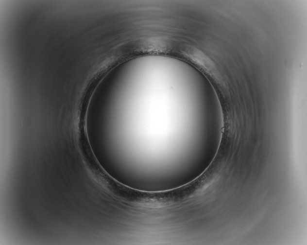 X0000088740538200705311449
