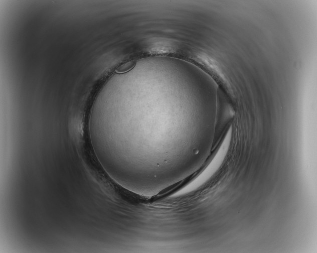 X0000088740539200705311449