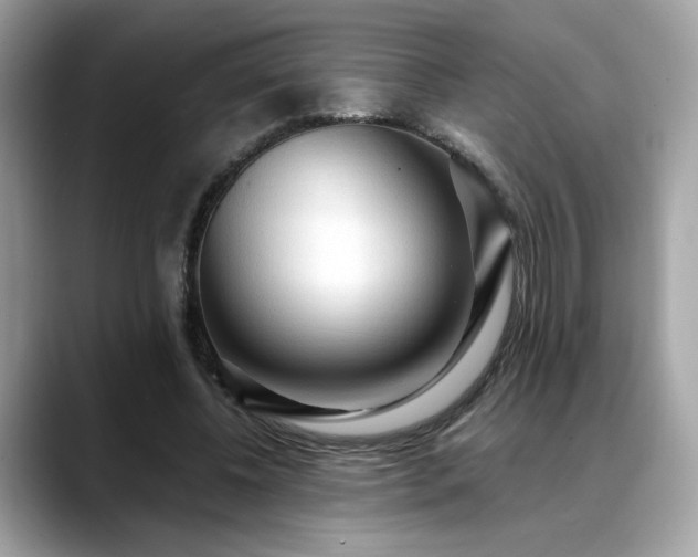 X0000088740540200705311449