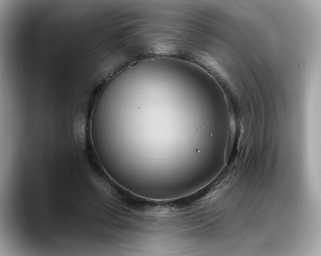 X0000088740542200705311449