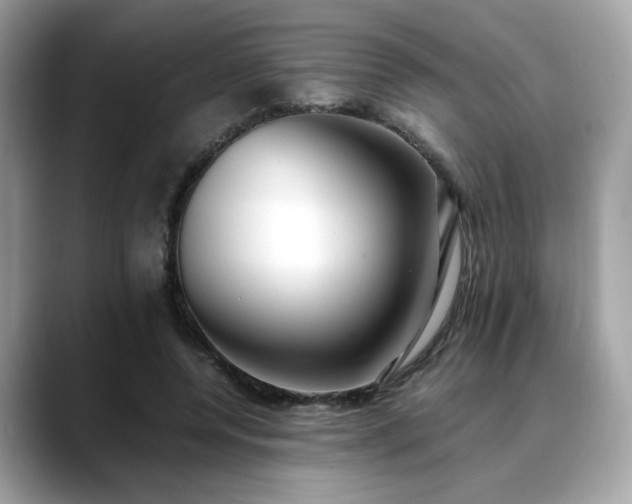X0000088740544200705311449