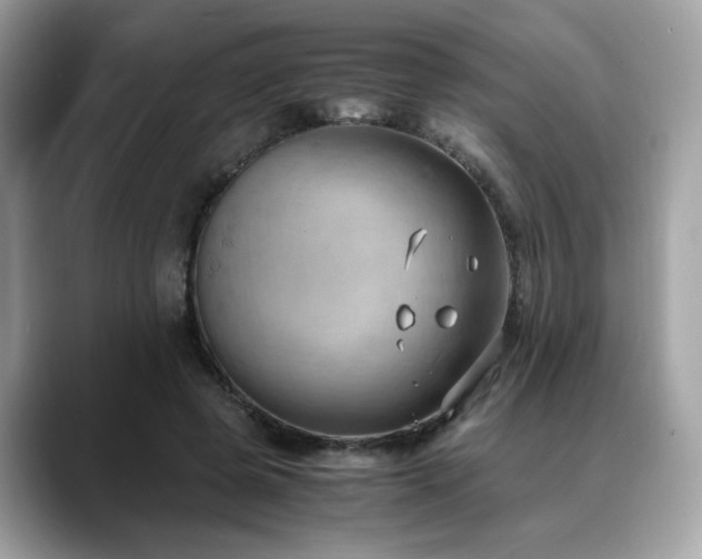 X0000088740545200705311449