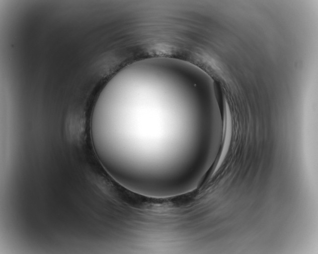 X0000088740548200705311449
