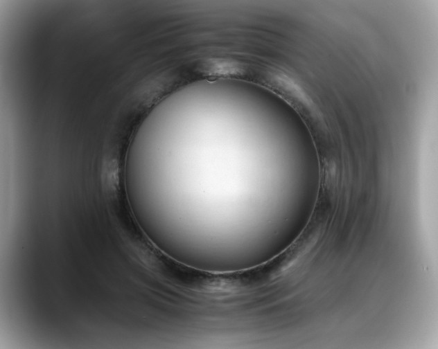 X0000088740549200705311449