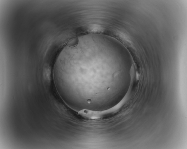 X0000088740550200705311449