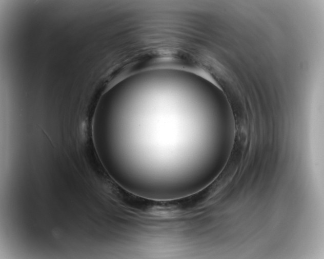 X0000088740556200705311449