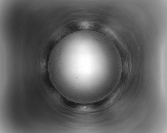 X0000088740557200705311449