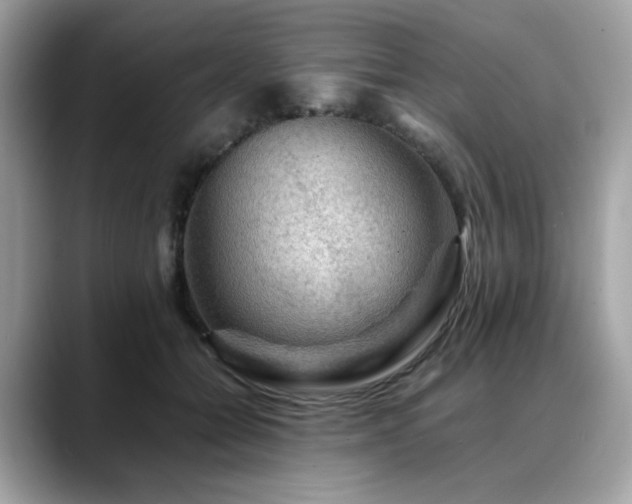 X0000088740558200705311449