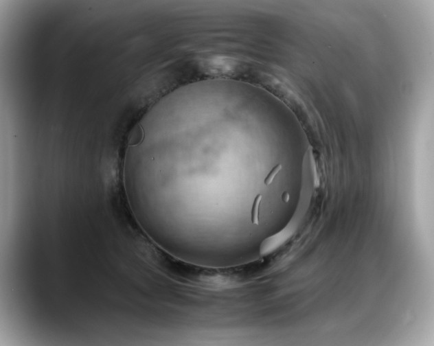 X0000088740561200705311449