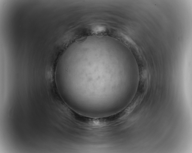 X0000088740565200705311449