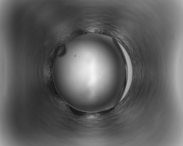 X0000088740569200705311449