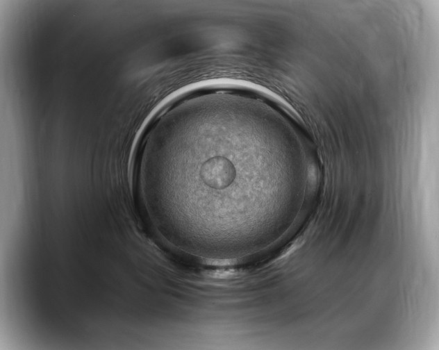 X0000088740575200705311449