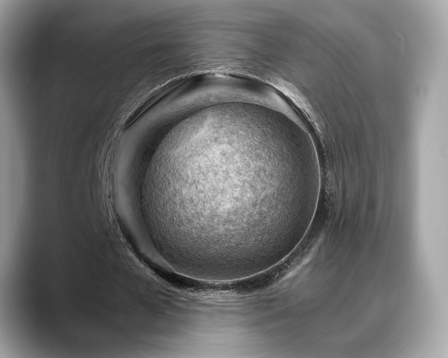 X0000088740577200705311449