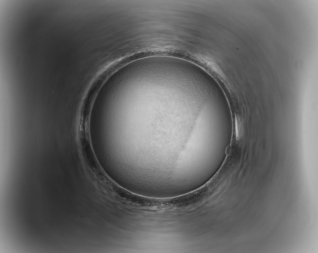 X0000088740579200705311449