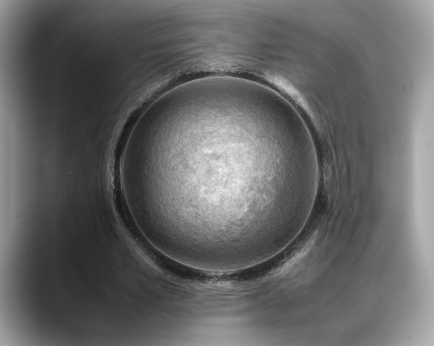 X0000088740581200705311449