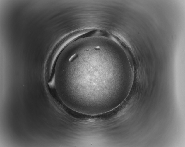 X0000088740584200705311449