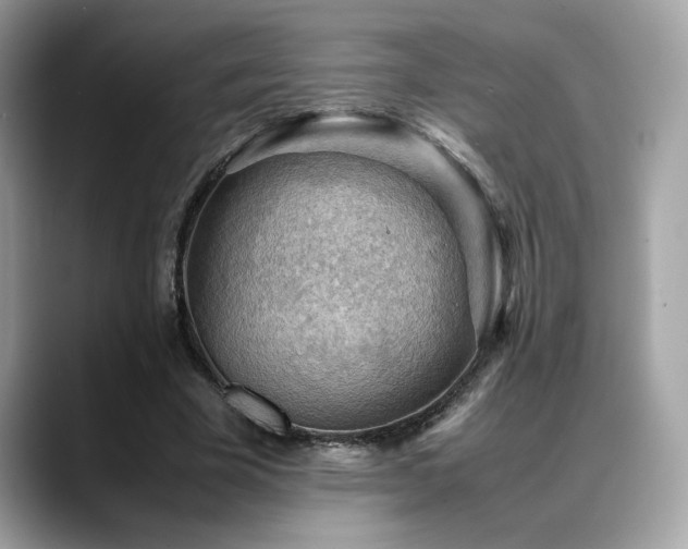 X0000088740585200705311449