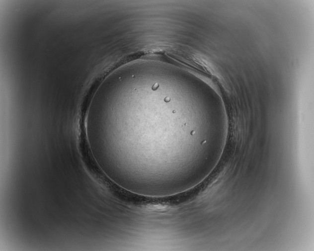 X0000088740586200705311449