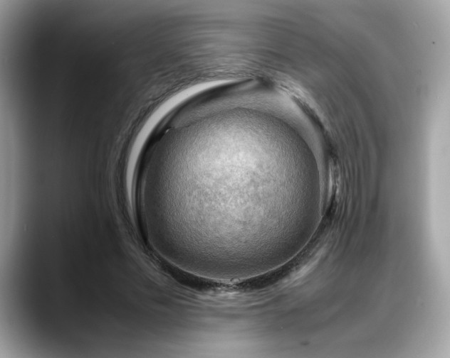 X0000088740589200705311449