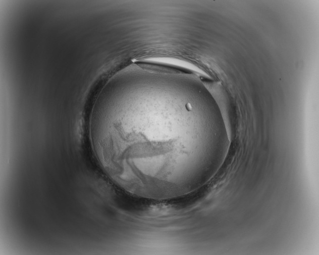 X0000088740591200705311449