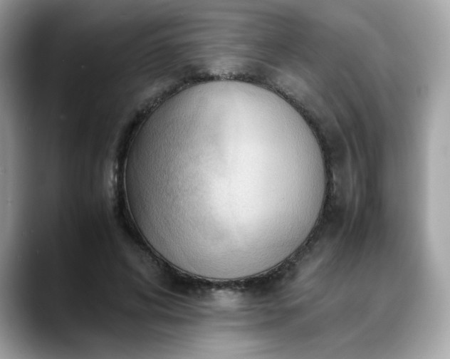 X0000088740592200705311449
