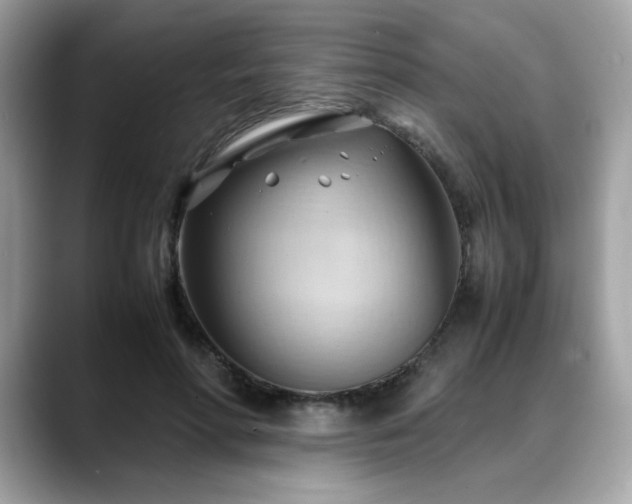 X0000088740598200705311449