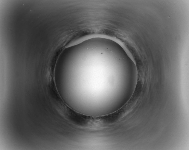 X0000088740599200705311449