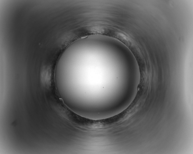 X0000088740600200705311449